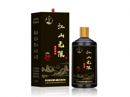 江山无限20