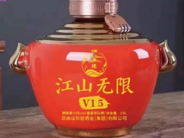 江山无限V15