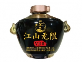 江山无限V20